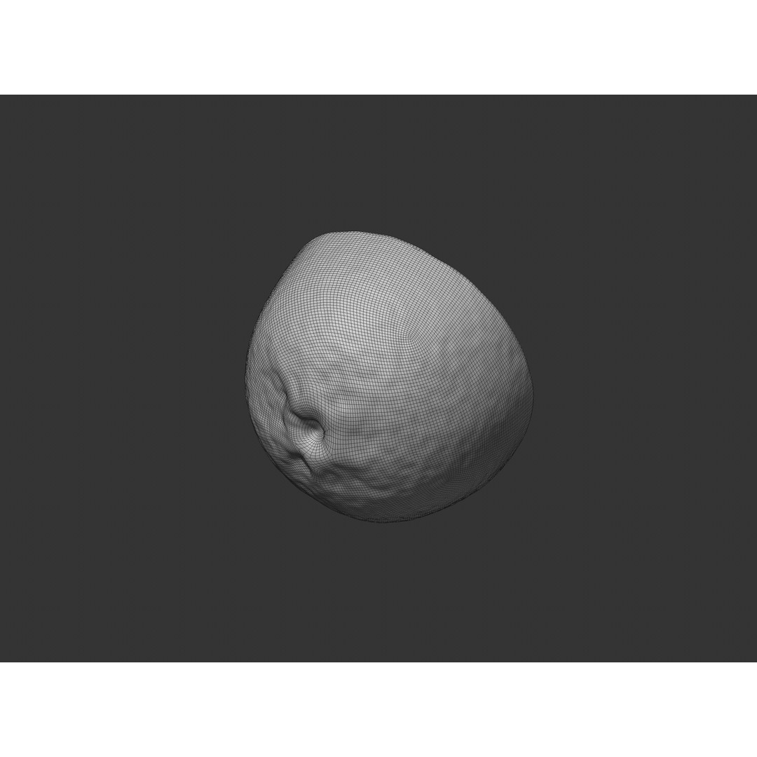 Half Cut Orange 3D Model – Realistic PBR Asset, FBX, OBJ, C4D - View 11
