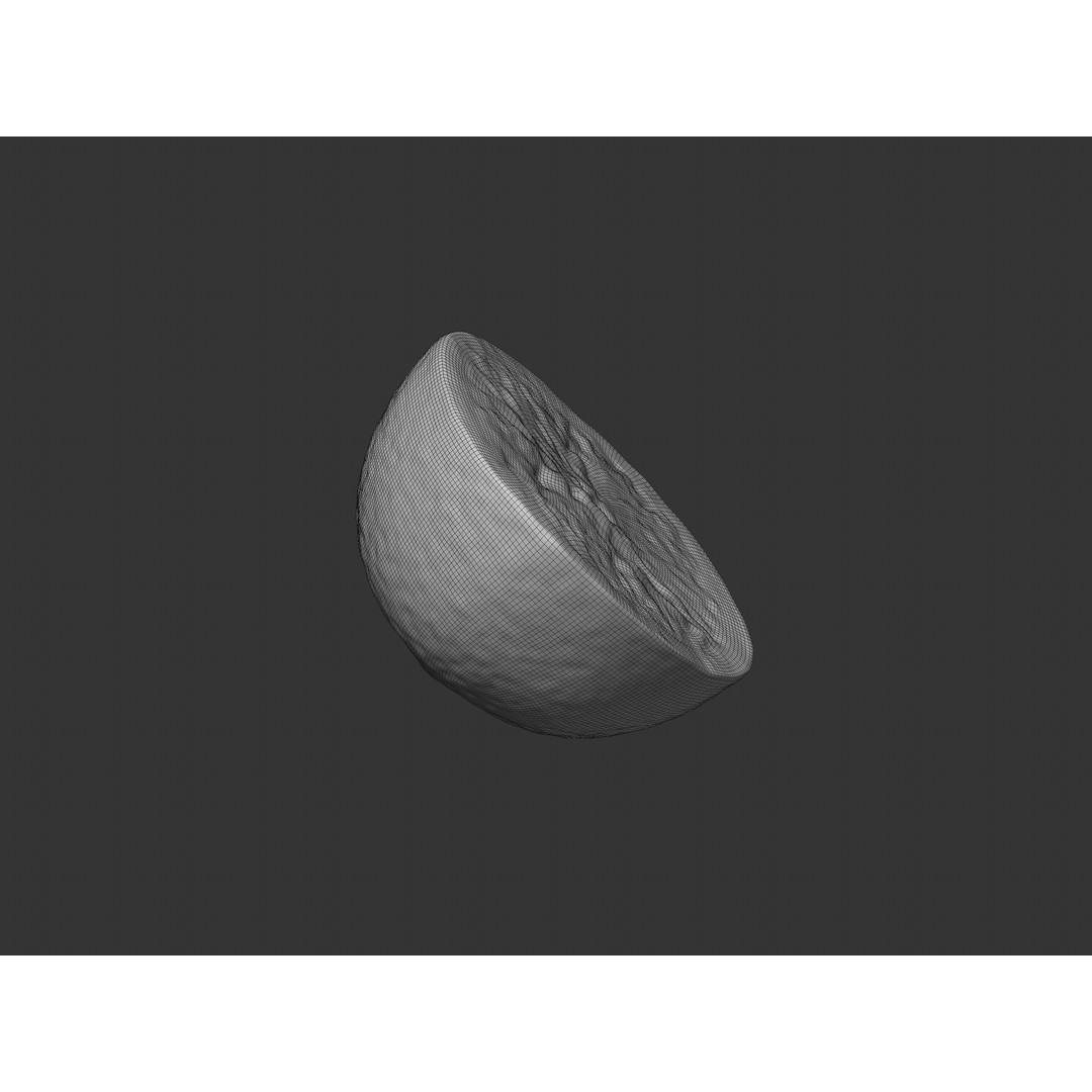 Half Cut Orange 3D Model – Realistic PBR Asset, FBX, OBJ, C4D - View 7