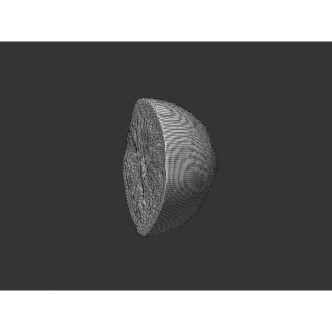 Half Cut Orange 3D Model – Realistic PBR Asset, FBX, OBJ, C4D - View 8