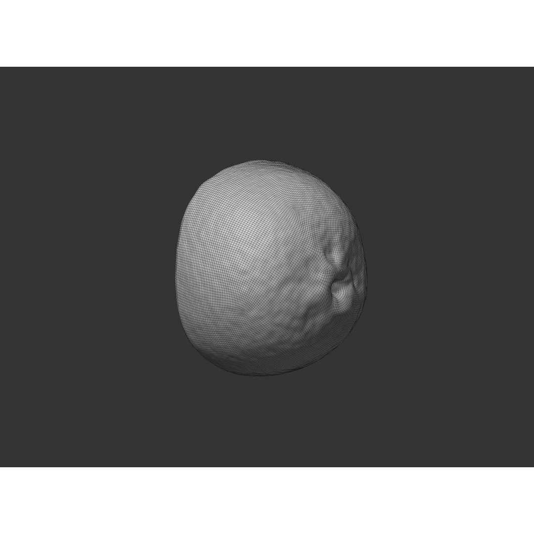 Half Cut Orange 3D Model – Realistic PBR Asset, FBX, OBJ, C4D - View 9