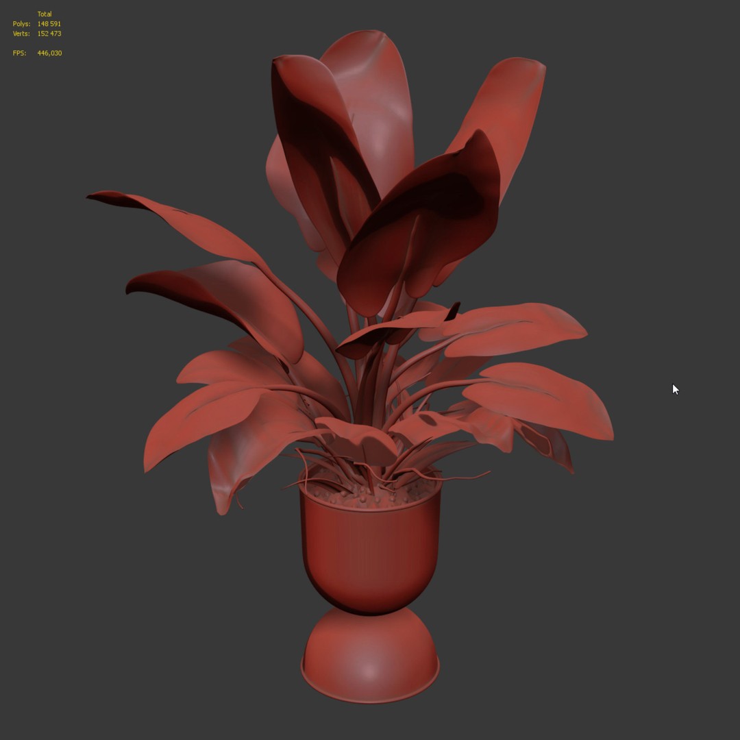 Philodendron Imperial Green 3D Model – Realistic Indoor Plant, PBR Textures - View 10