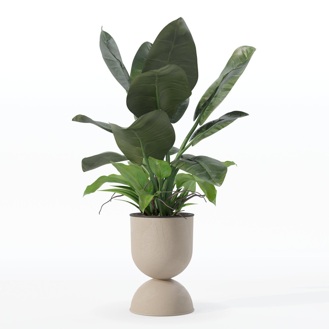 Philodendron Imperial Green 3D Model – Realistic Indoor Plant, PBR Textures - View 29