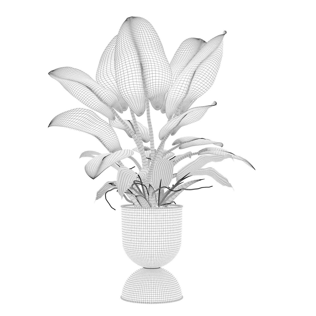 Philodendron Imperial Green 3D Model – Realistic Indoor Plant, PBR Textures - View 8