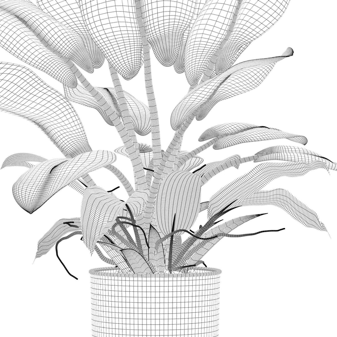 Philodendron Imperial Green 3D Model – Realistic Indoor Plant, PBR Textures - View 9