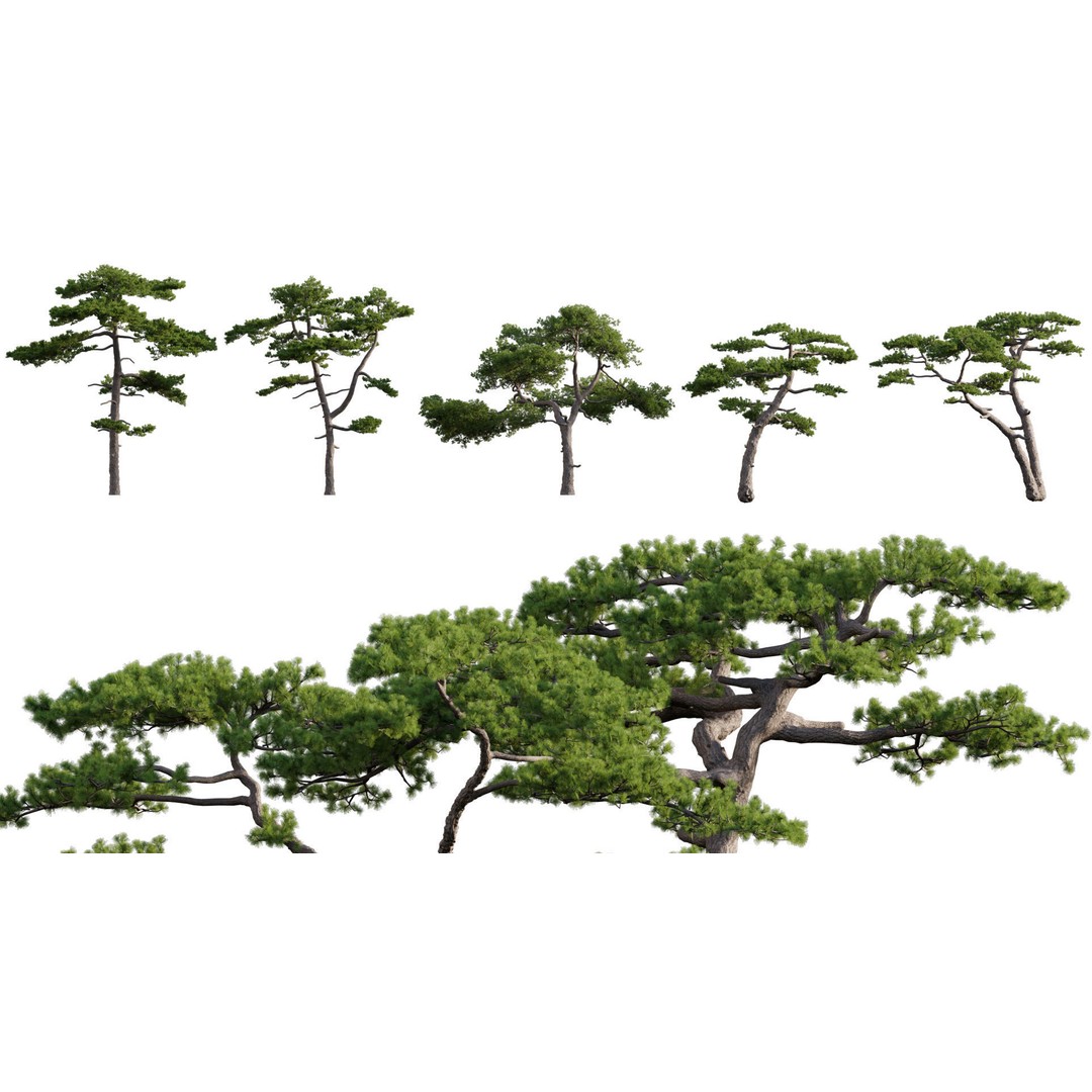 Japanese Garden 3D Model – High-Quality Plant Assets, FBX & PBR - View 11