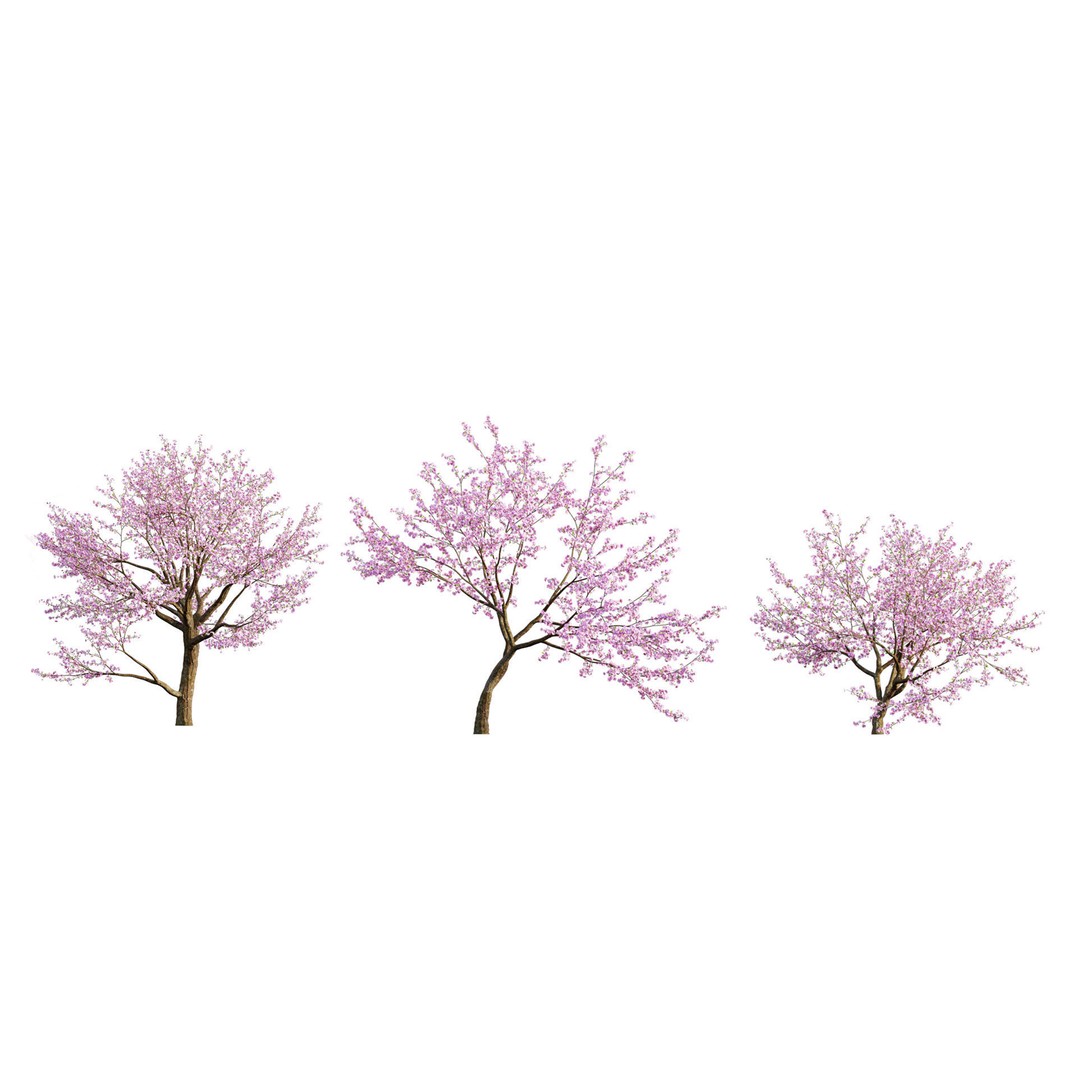 Japanese Garden 3D Model – High-Quality Plant Assets, FBX & PBR - View 12
