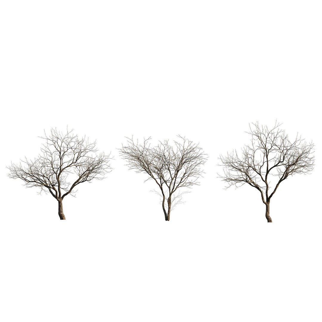 Japanese Garden 3D Model – High-Quality Plant Assets, FBX & PBR - View 13