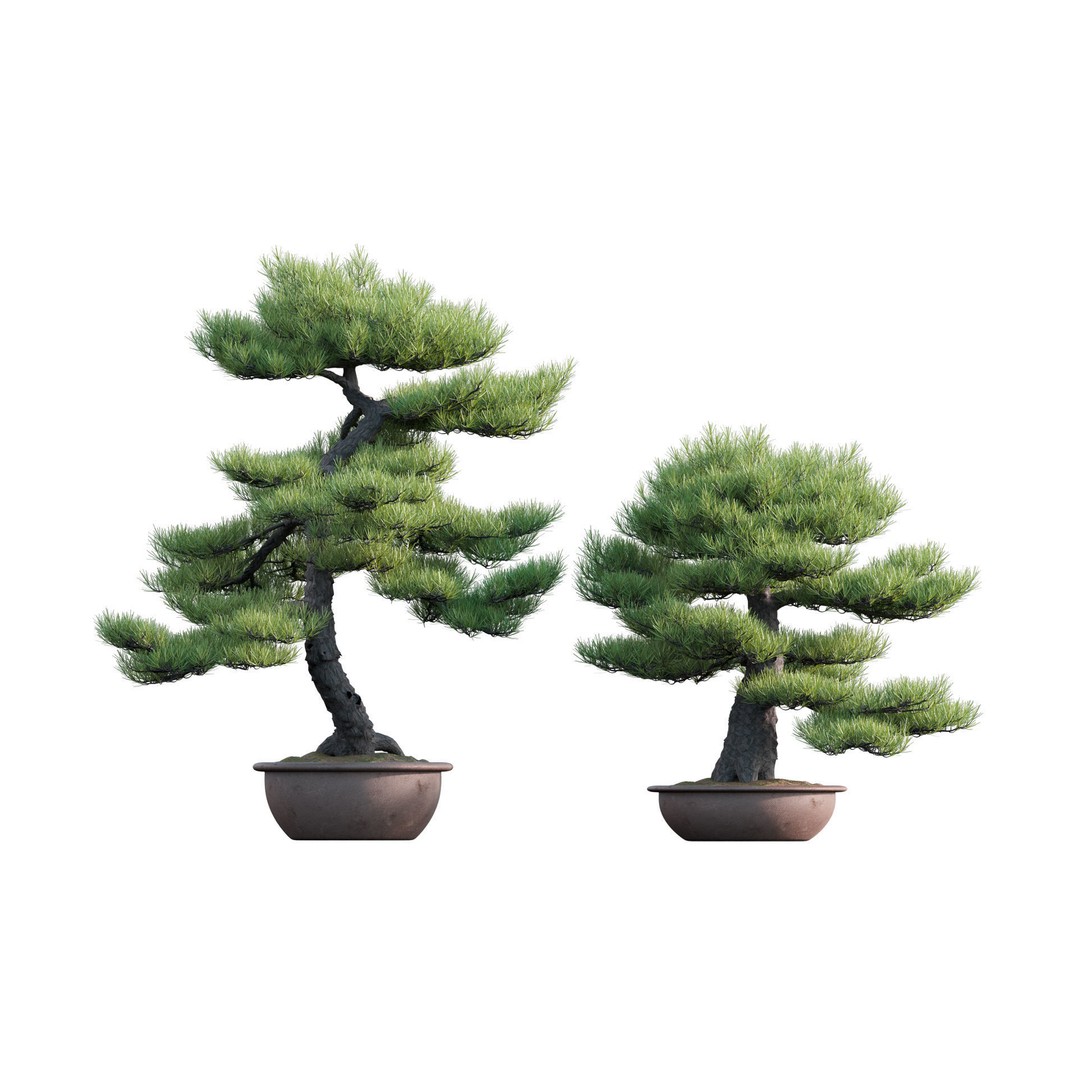 Japanese Garden 3D Model – High-Quality Plant Assets, FBX & PBR - View 15