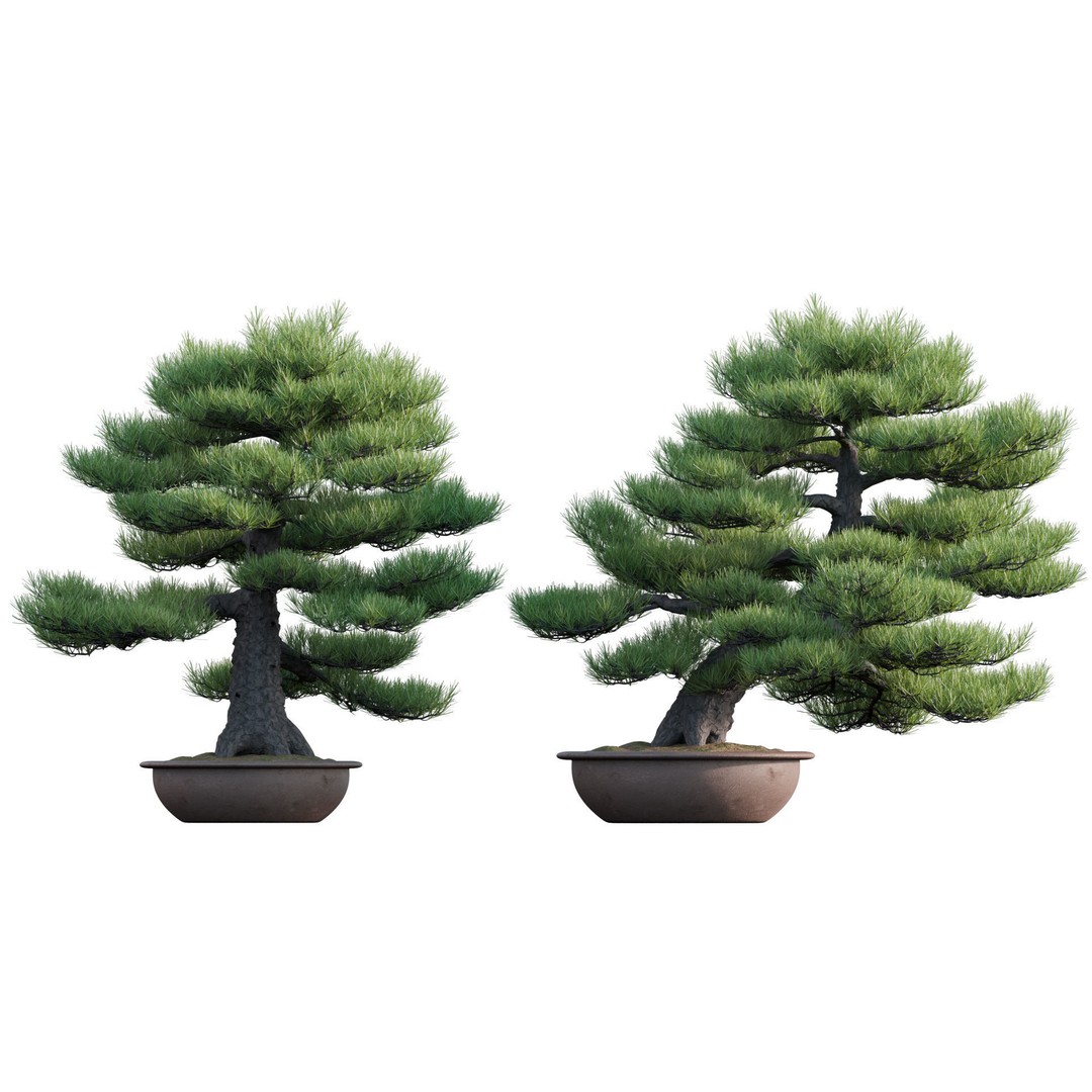 Japanese Garden 3D Model – High-Quality Plant Assets, FBX & PBR - View 16