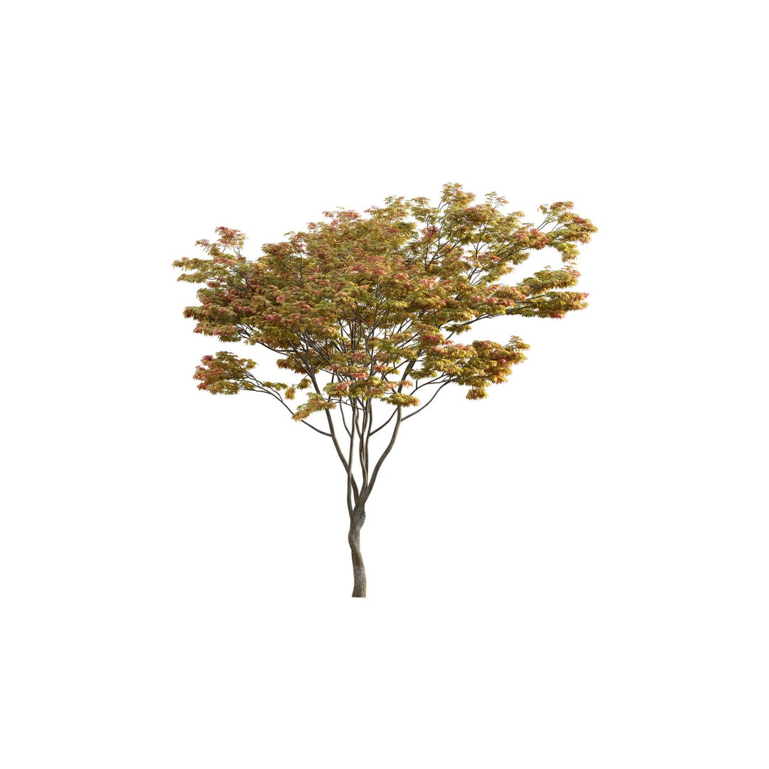 Japanese Garden 3D Model – High-Quality Plant Assets, FBX & PBR - View 17