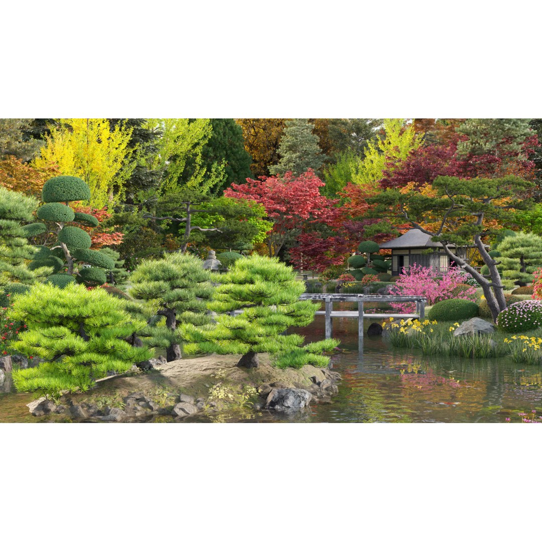 Japanese Garden 3D Model – High-Quality Plant Assets, FBX & PBR - View 2