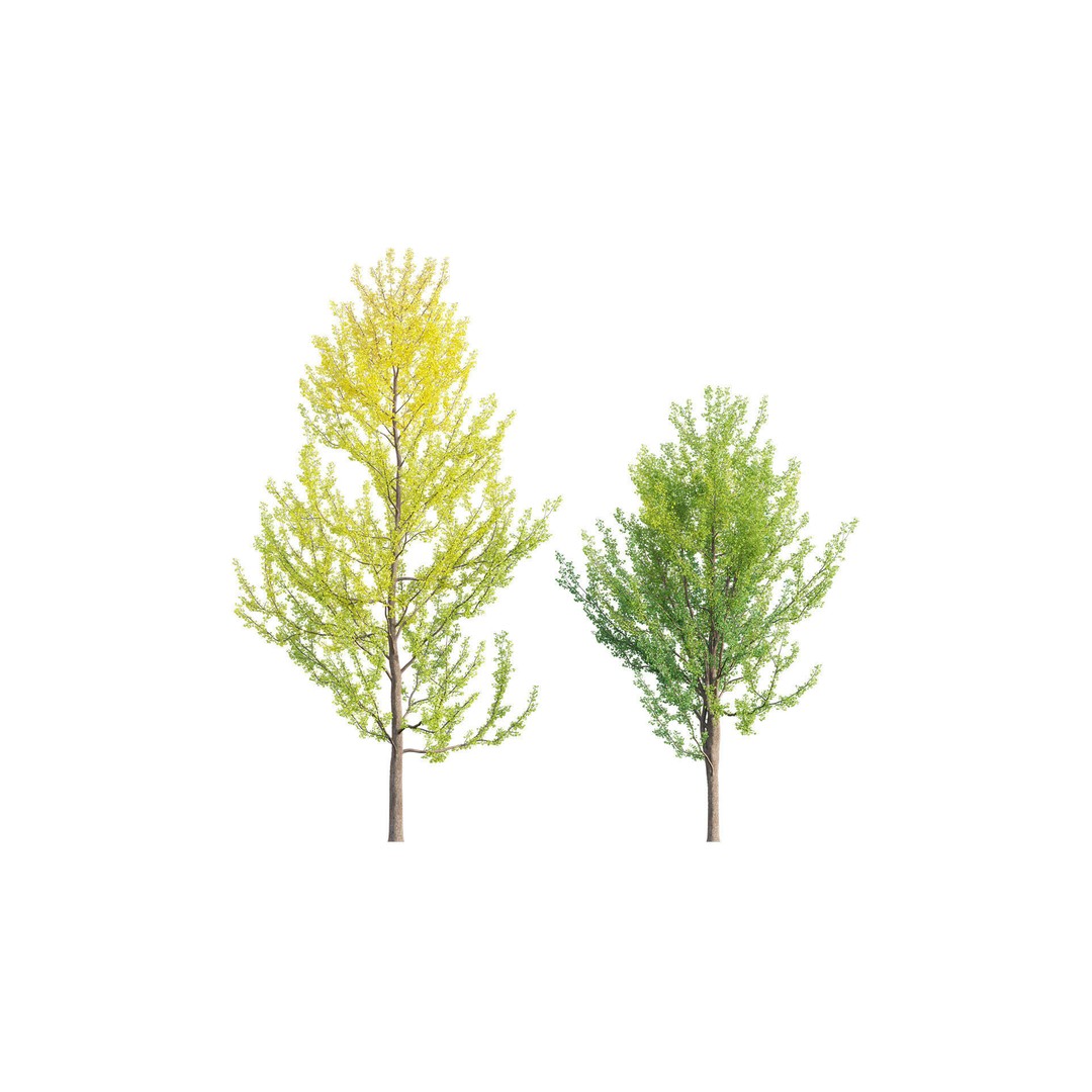 Japanese Garden 3D Model – High-Quality Plant Assets, FBX & PBR - View 23