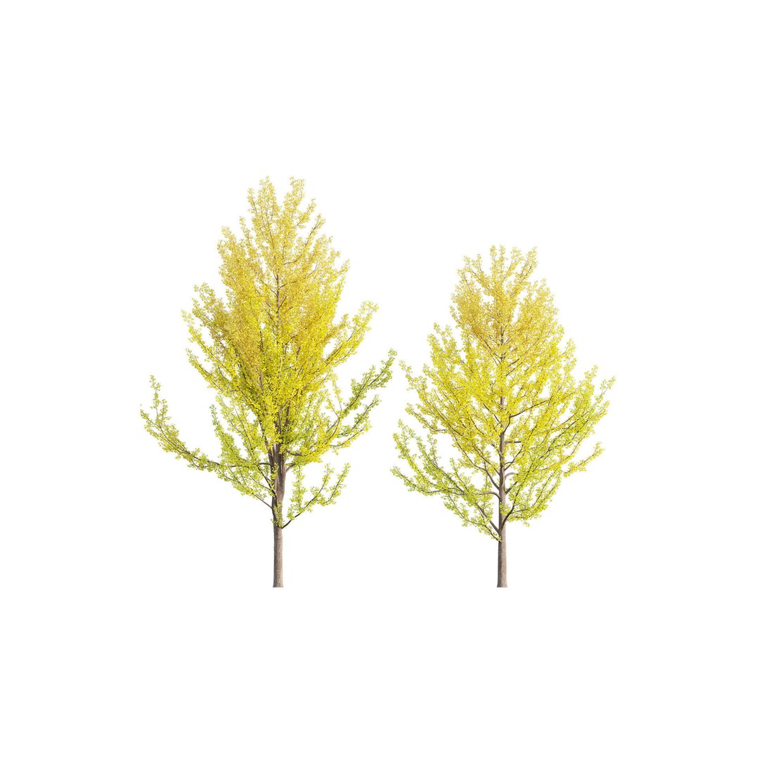 Japanese Garden 3D Model – High-Quality Plant Assets, FBX & PBR - View 24