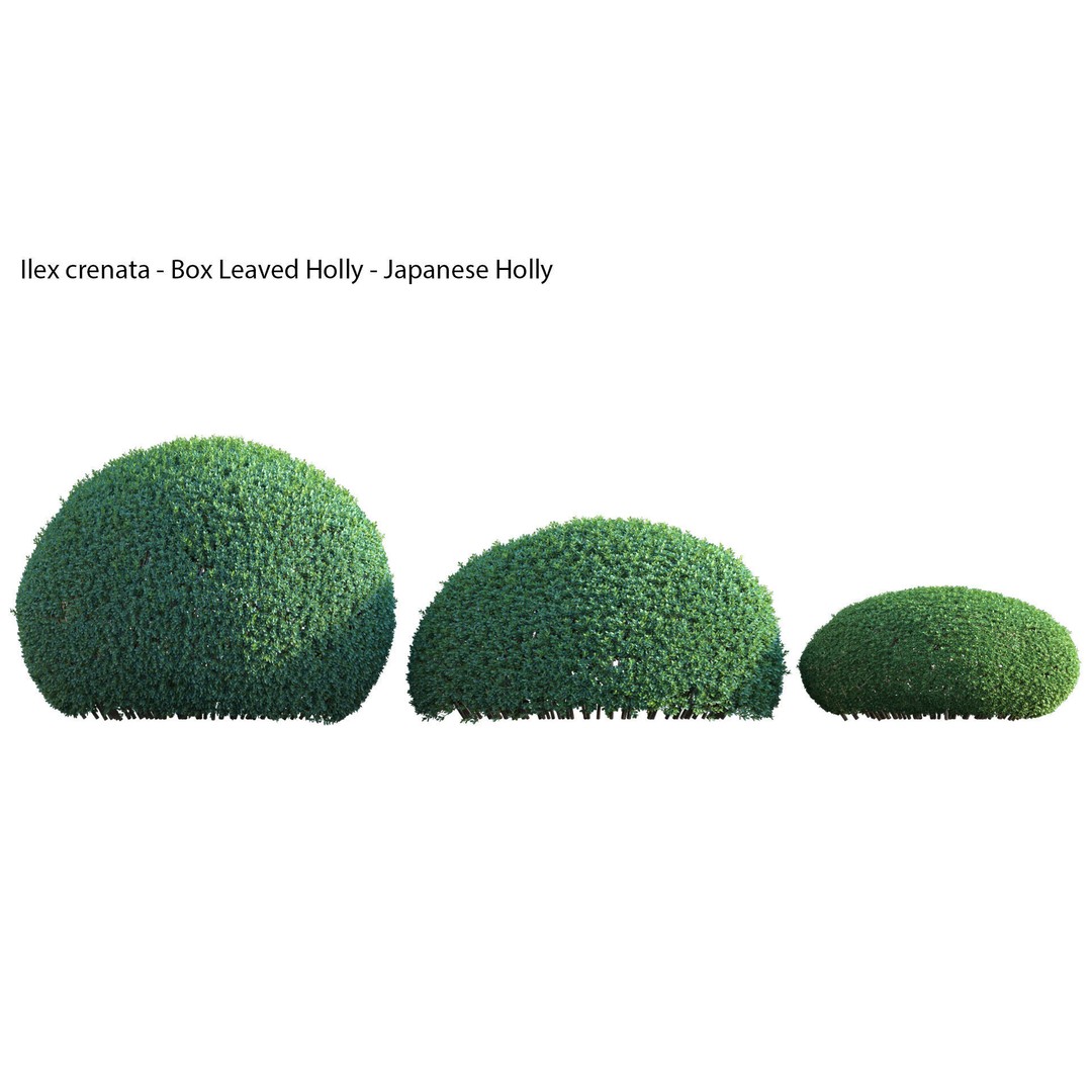 Japanese Garden 3D Model – High-Quality Plant Assets, FBX & PBR - View 25