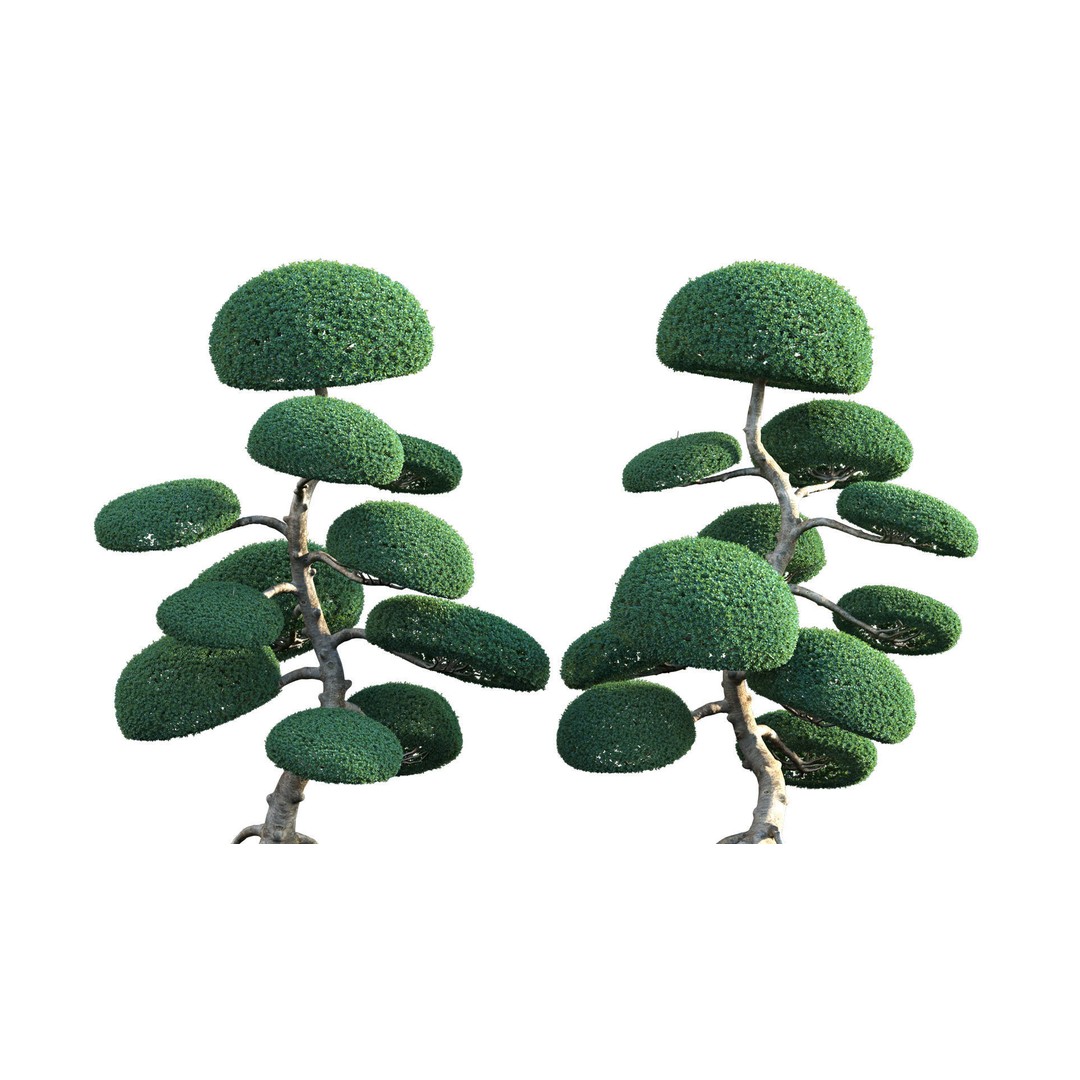 Japanese Garden 3D Model – High-Quality Plant Assets, FBX & PBR - View 28