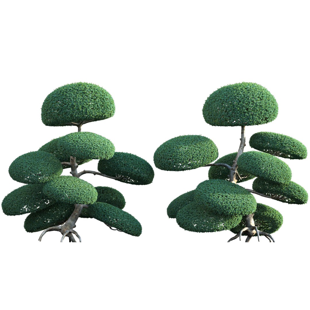 Japanese Garden 3D Model – High-Quality Plant Assets, FBX & PBR - View 29