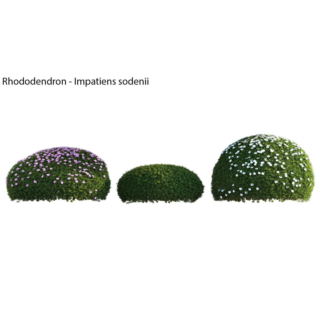 Japanese Garden 3D Model – High-Quality Plant Assets, FBX & PBR - View 30