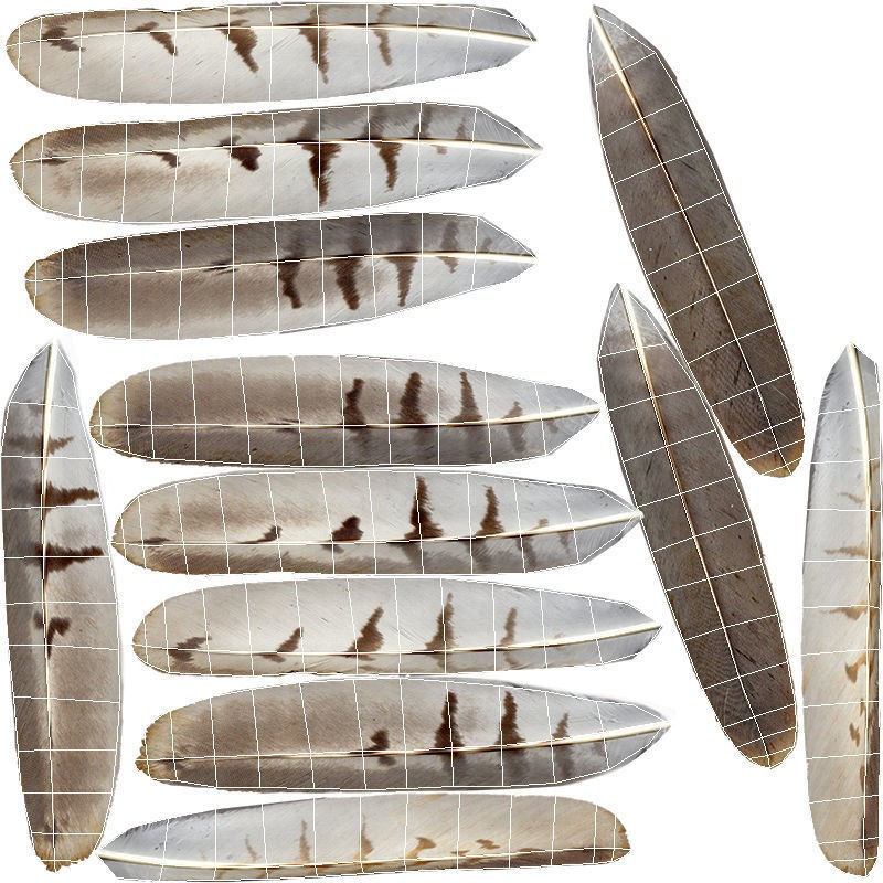 Hen Harrier 3D Model – Low Poly Animated Game Asset, FBX - View 13