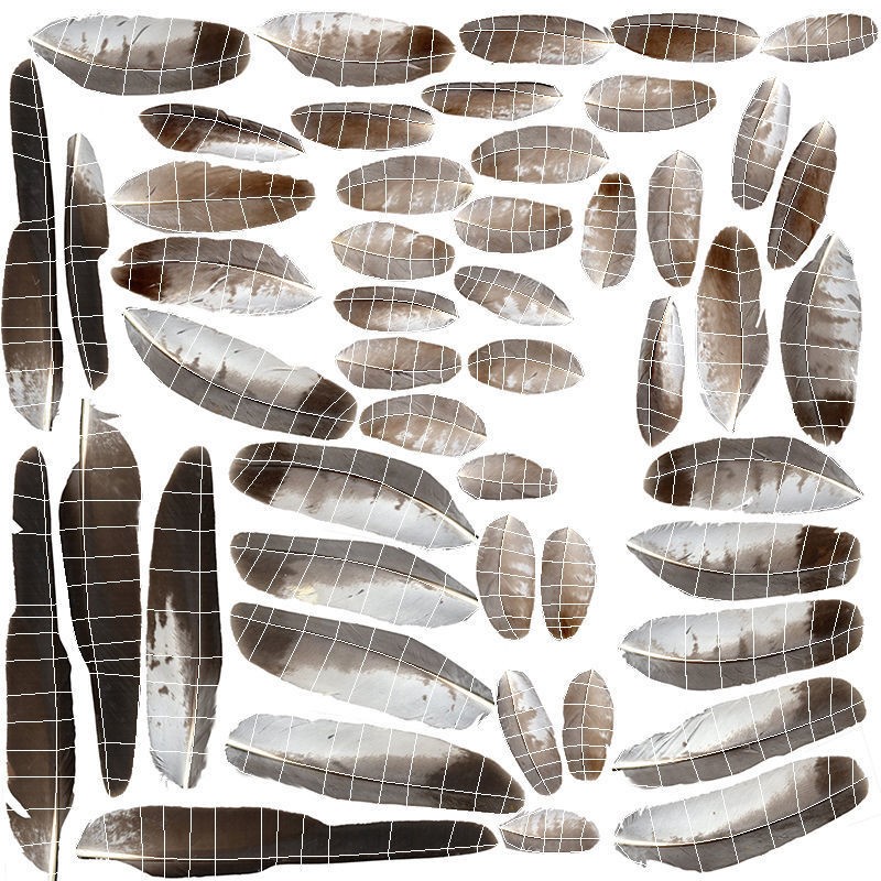 Hen Harrier 3D Model – Low Poly Animated Game Asset, FBX - View 14
