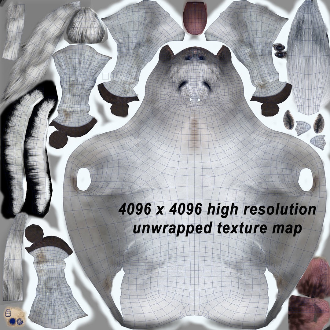 White Horse 3D Model – Rigged and Animated, FBX, PBR Textures