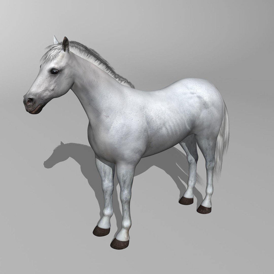 White Horse 3D Model – Rigged and Animated, FBX, PBR Textures - View 14