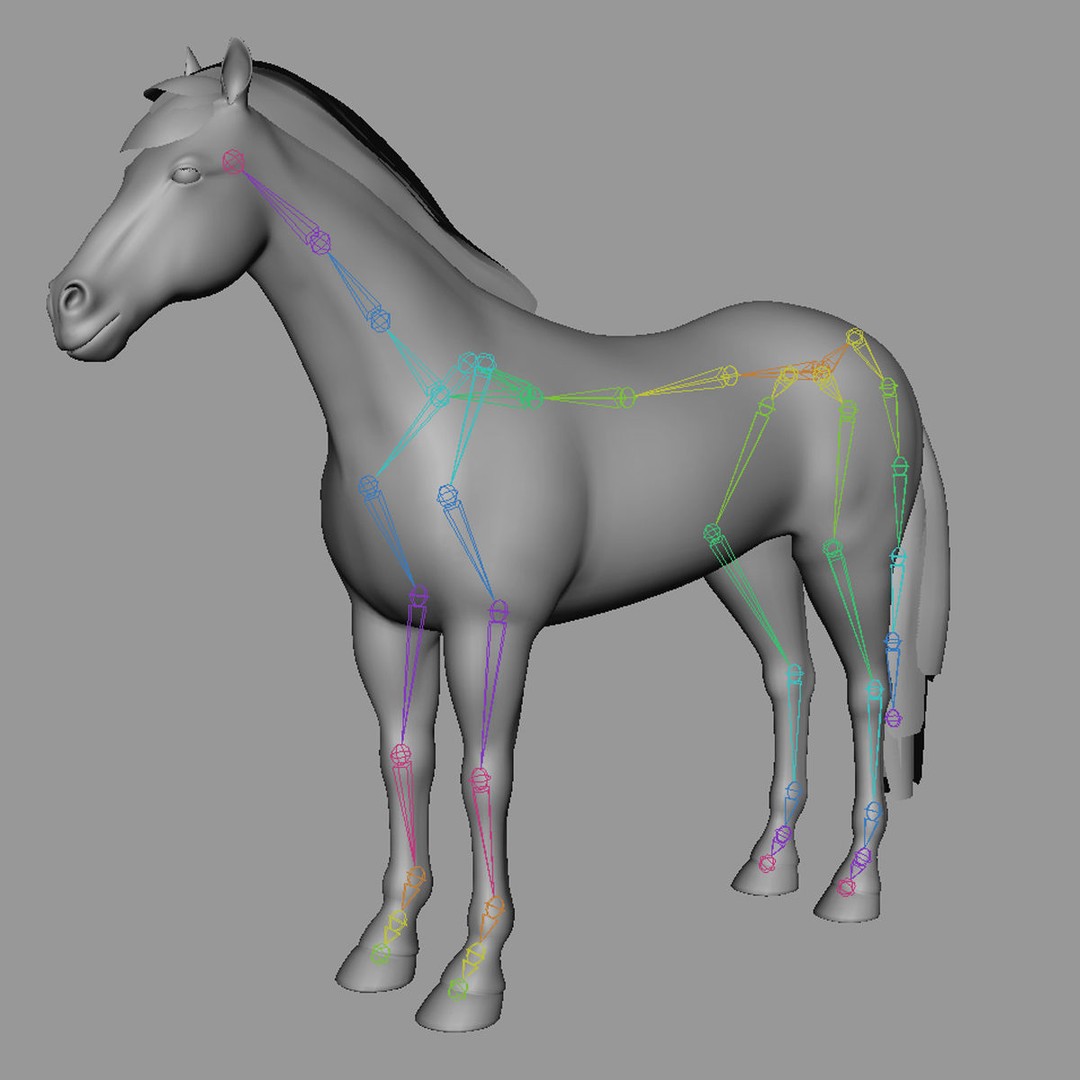 White Horse 3D Model – Rigged and Animated, FBX, PBR Textures - View 19