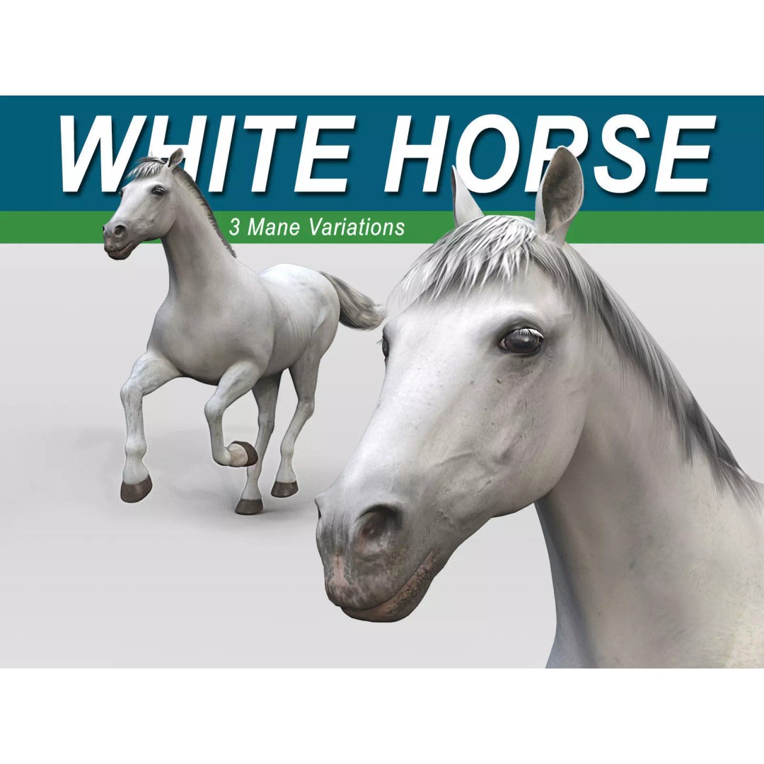 White Horse 3D Model – Rigged and Animated, FBX, PBR Textures - View 2