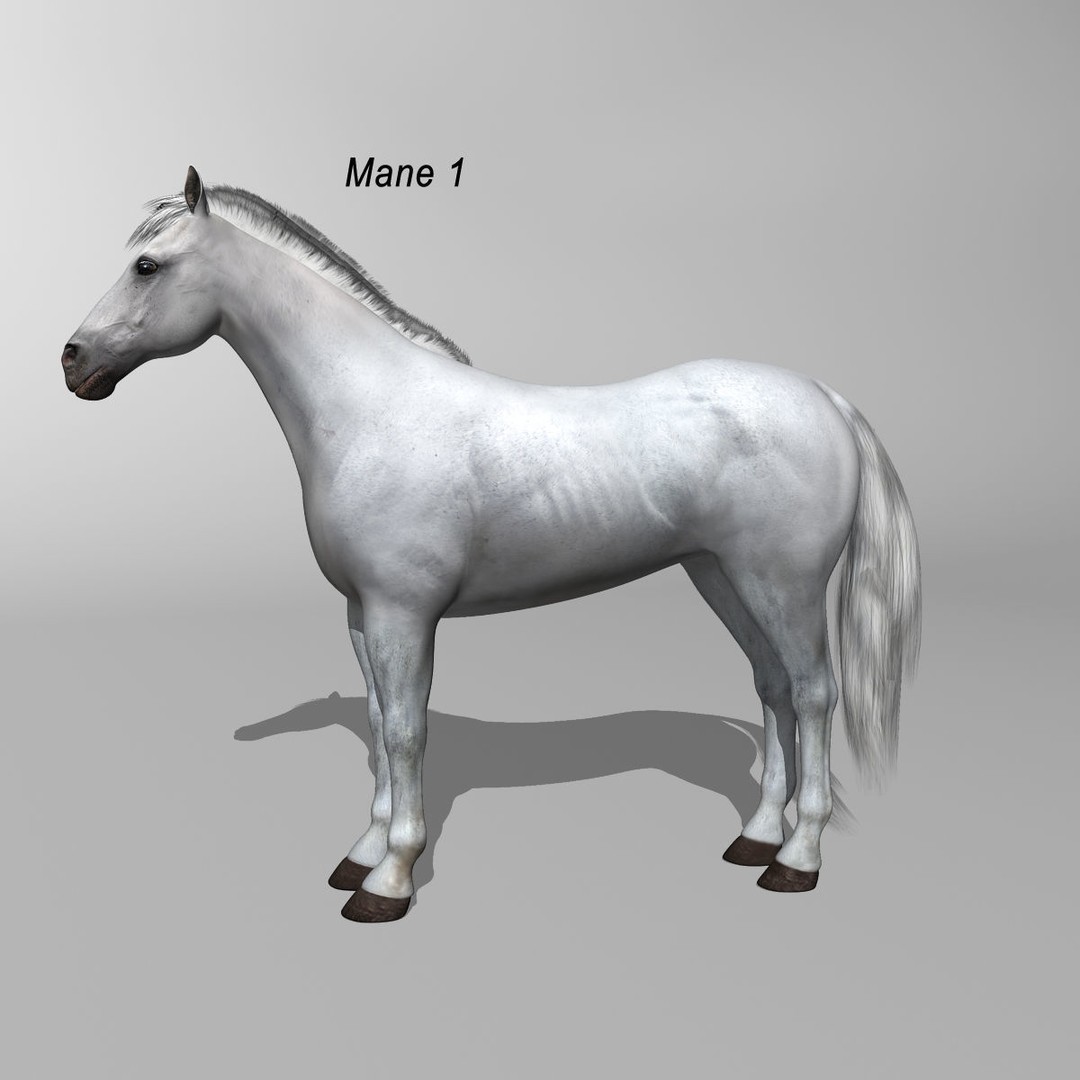 White Horse 3D Model – Rigged and Animated, FBX, PBR Textures - View 3