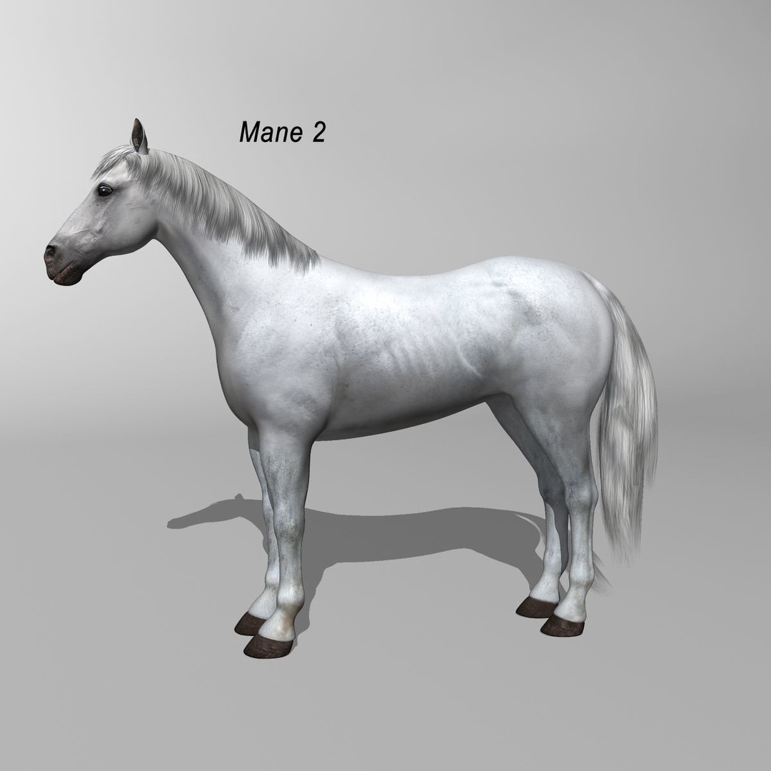 White Horse 3D Model – Rigged and Animated, FBX, PBR Textures - View 4