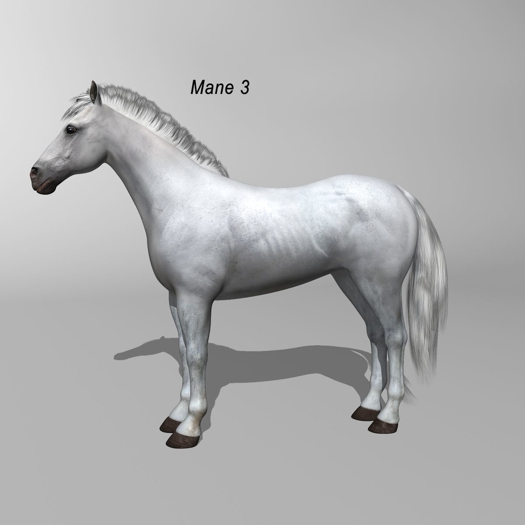White Horse 3D Model – Rigged and Animated, FBX, PBR Textures - View 5
