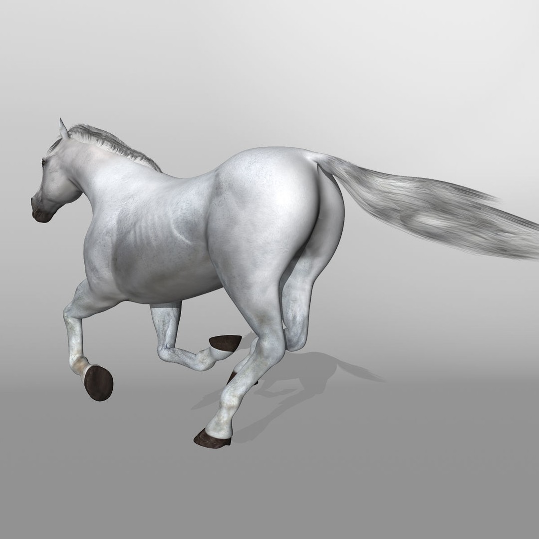 White Horse 3D Model – Rigged and Animated, FBX, PBR Textures - View 7