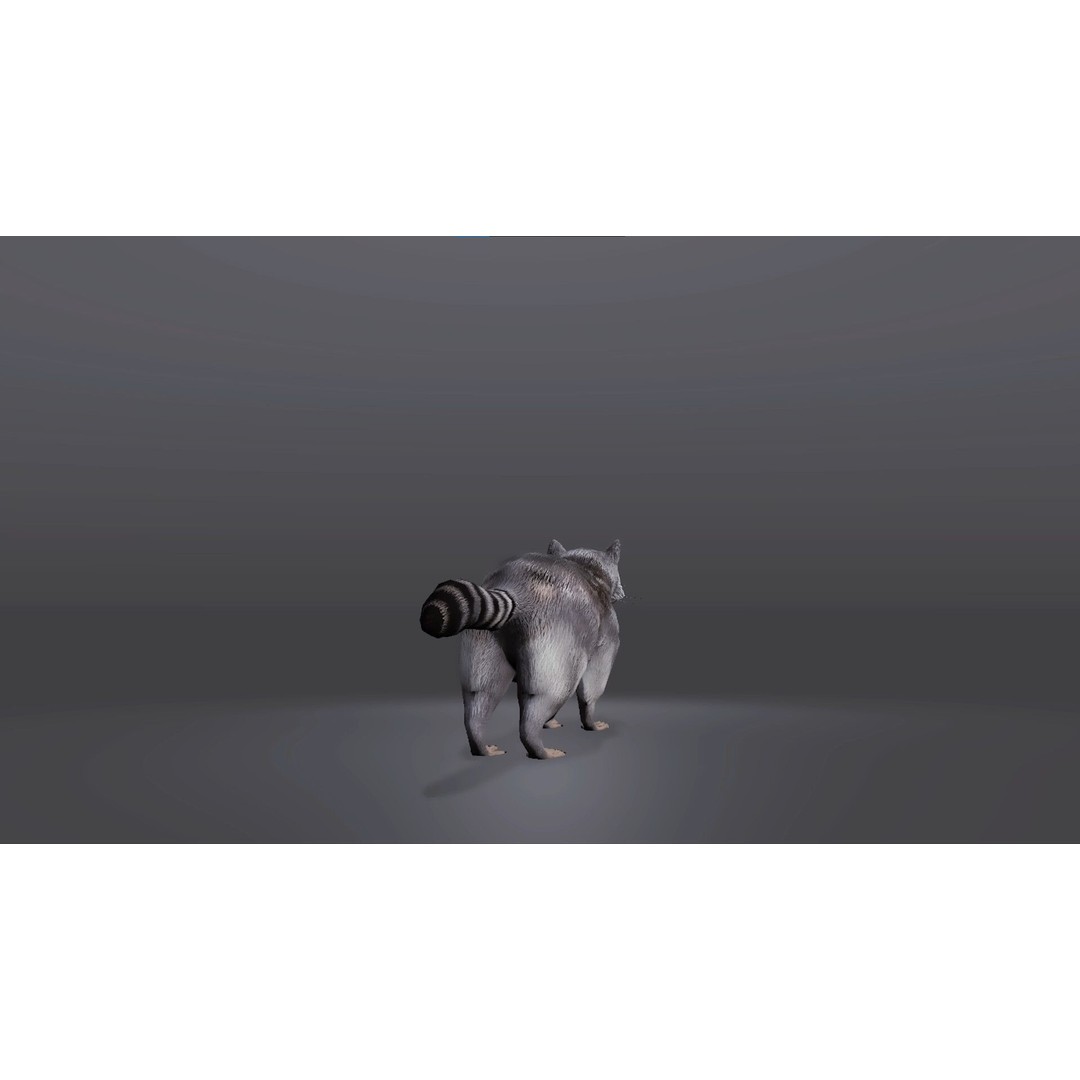 Realistic Raccoon 3D Model – Low Poly Game Asset, FBX & Blender - View 5