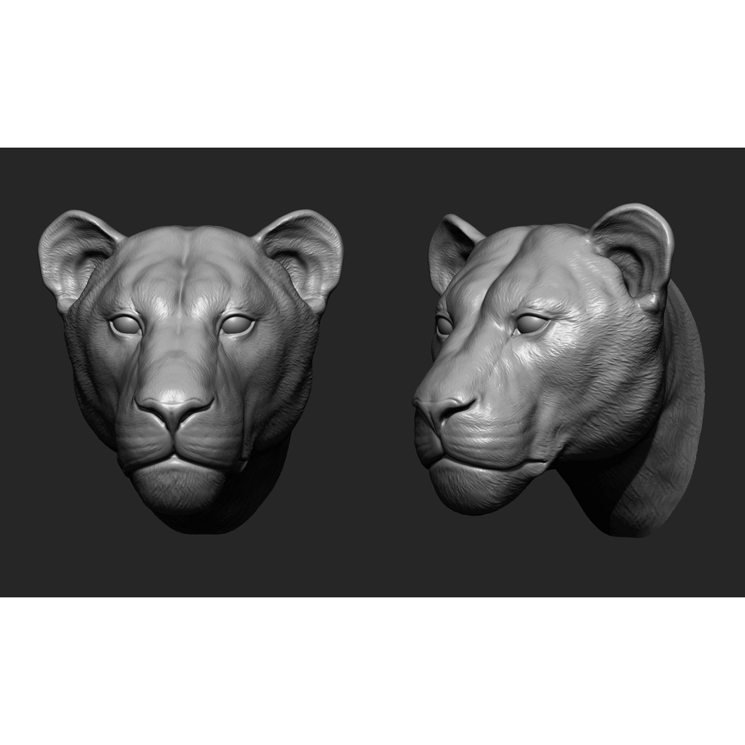 Animal Heads 3D Model – High Poly Collection, ZTL, OBJ, STL - View 10