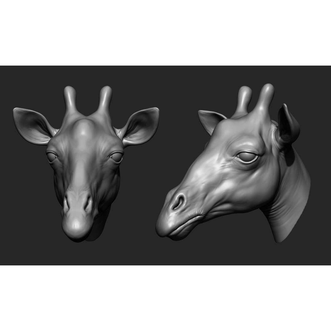 Animal Heads 3D Model – High Poly Collection, ZTL, OBJ, STL - View 12