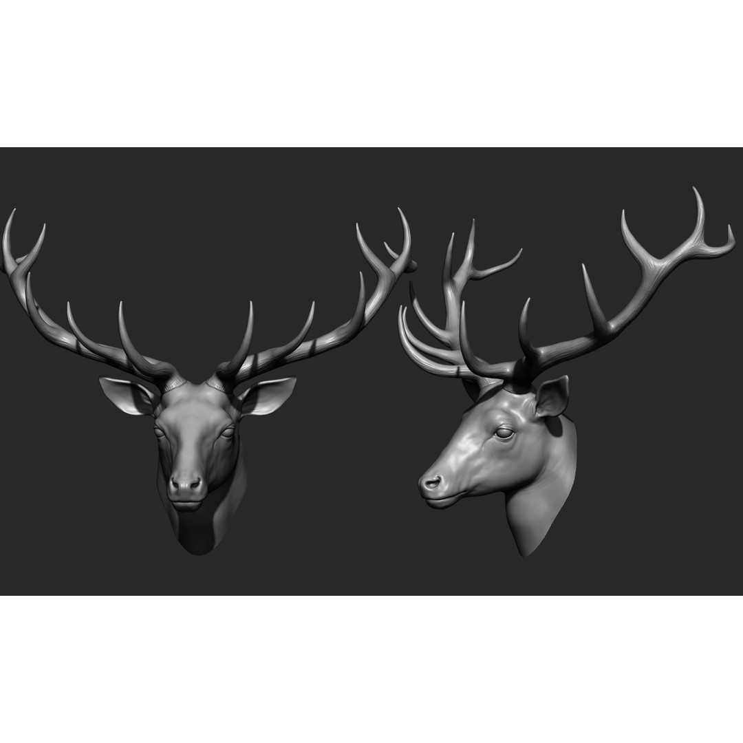 Animal Heads 3D Model – High Poly Collection, ZTL, OBJ, STL - View 13