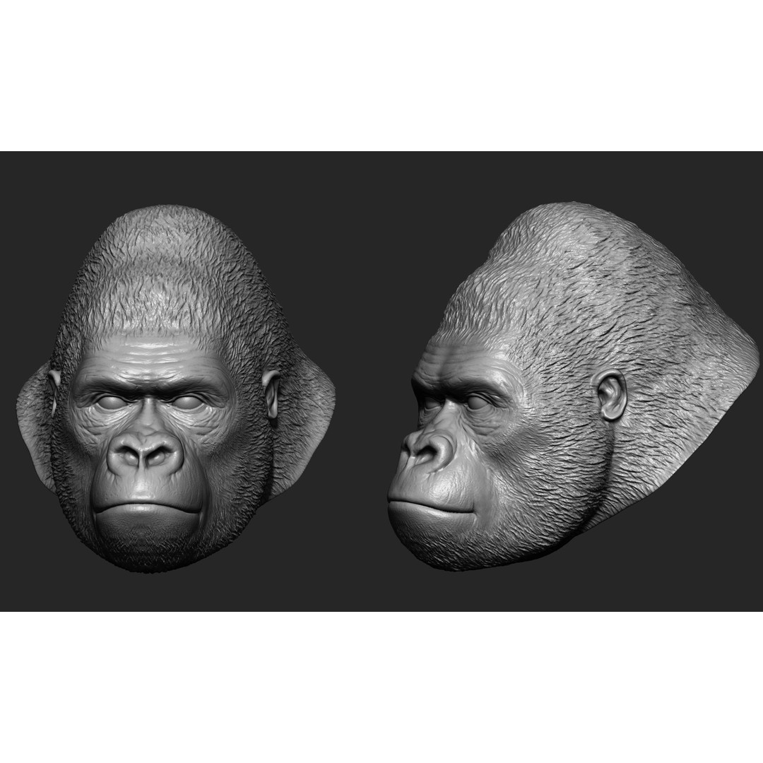 Animal Heads 3D Model – High Poly Collection, ZTL, OBJ, STL - View 15