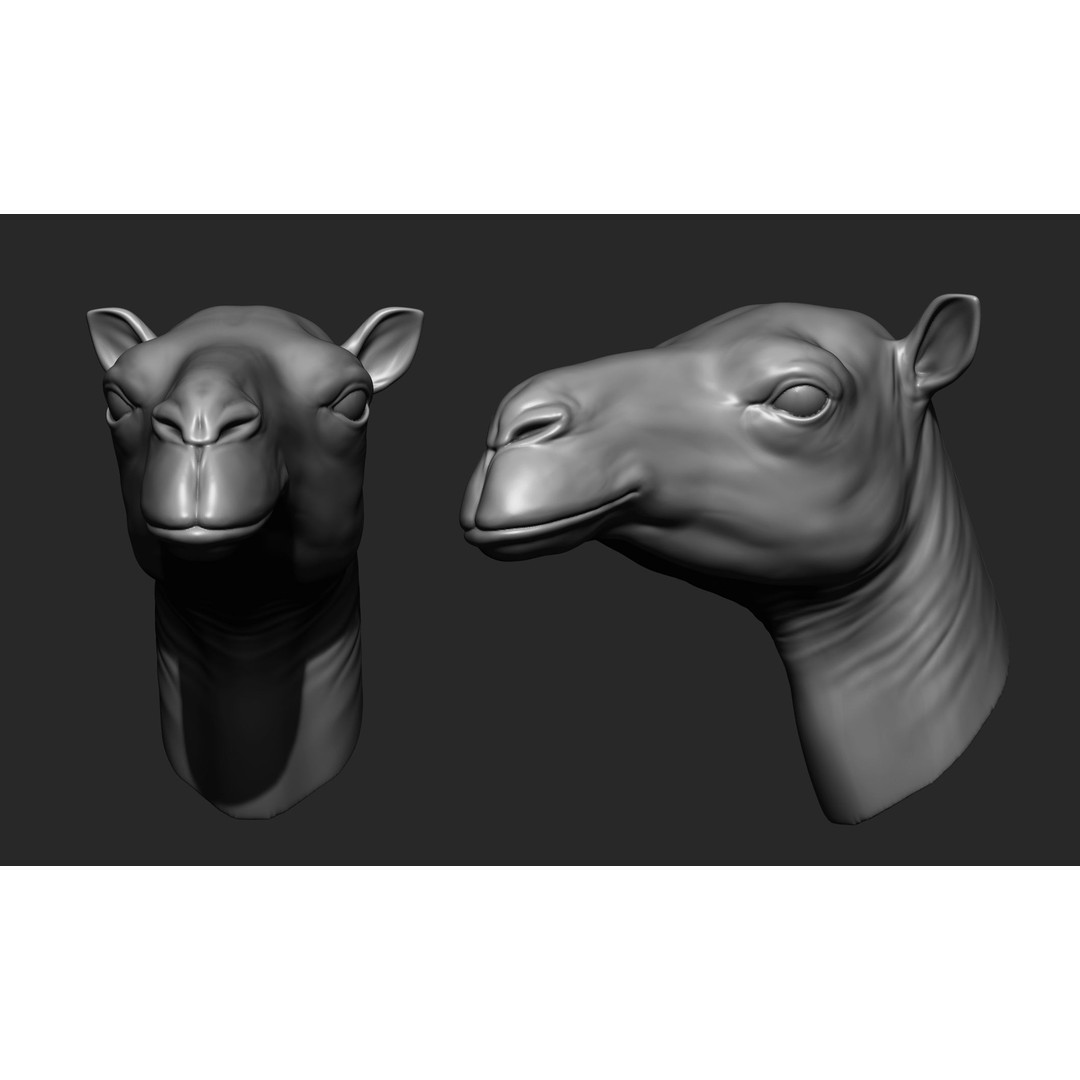 Animal Heads 3D Model – High Poly Collection, ZTL, OBJ, STL - View 16