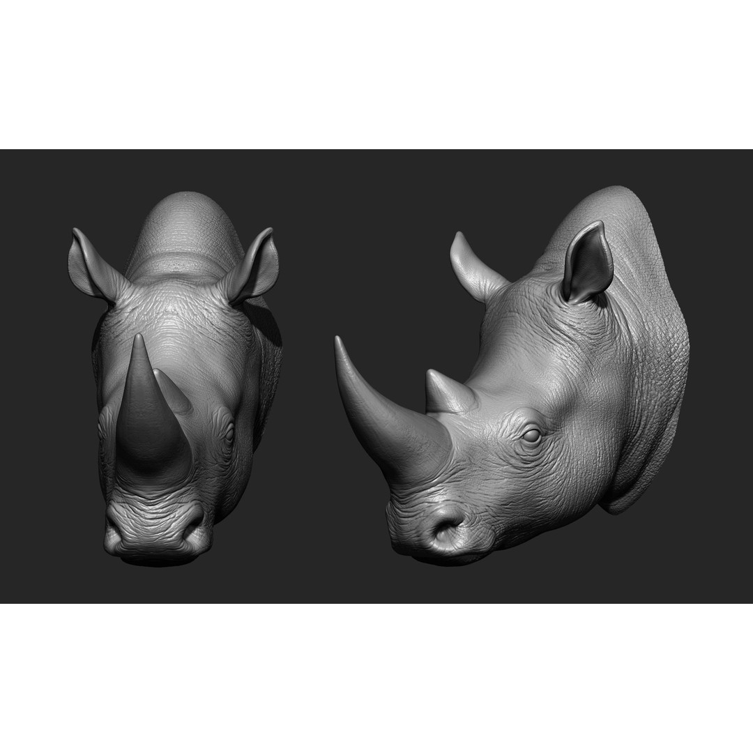 Animal Heads 3D Model – High Poly Collection, ZTL, OBJ, STL - View 5