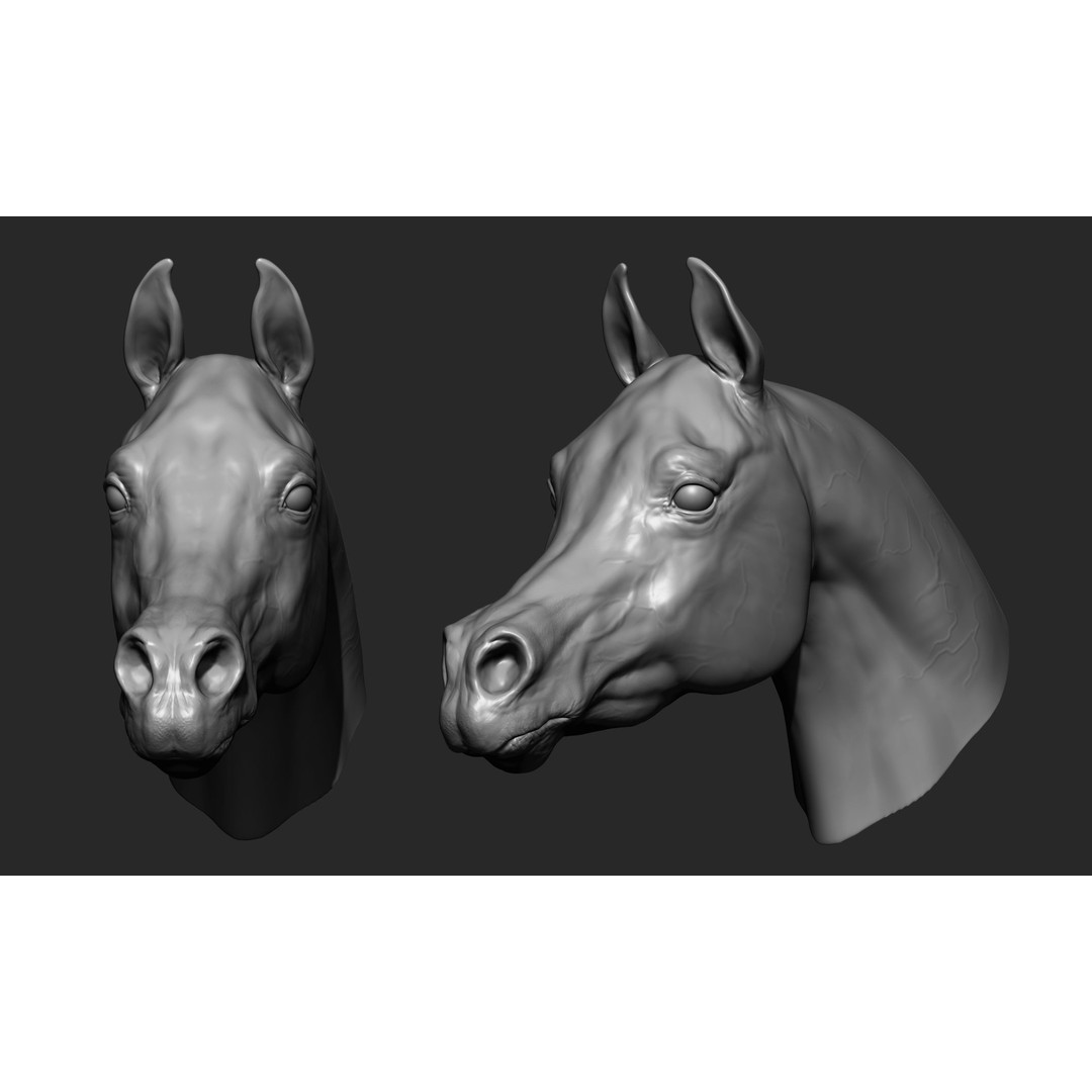 Animal Heads 3D Model – High Poly Collection, ZTL, OBJ, STL - View 6