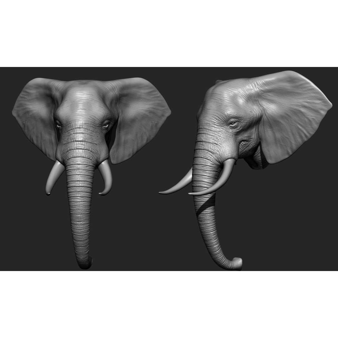 Animal Heads 3D Model – High Poly Collection, ZTL, OBJ, STL - View 8