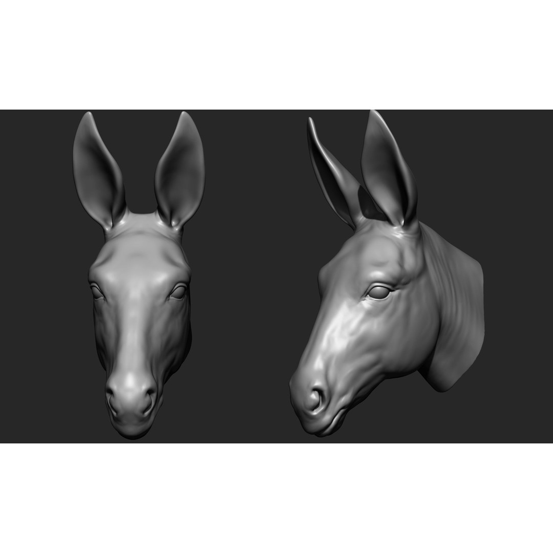 Animal Heads 3D Model – High Poly Collection, ZTL, OBJ, STL - View 9