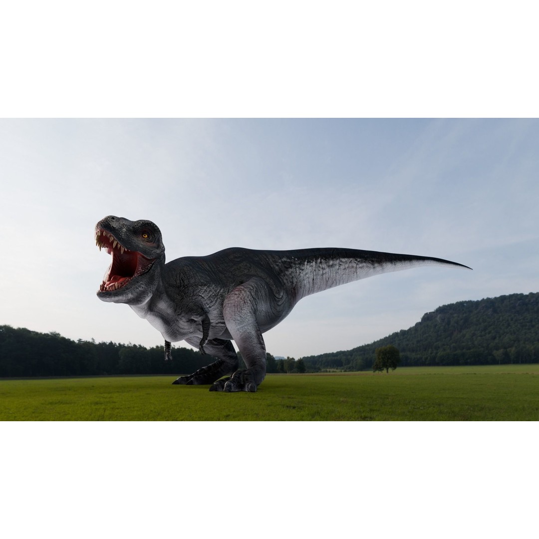 Tyrannosaurus Rex 3D Model – Low Poly Animated Rigged FBX