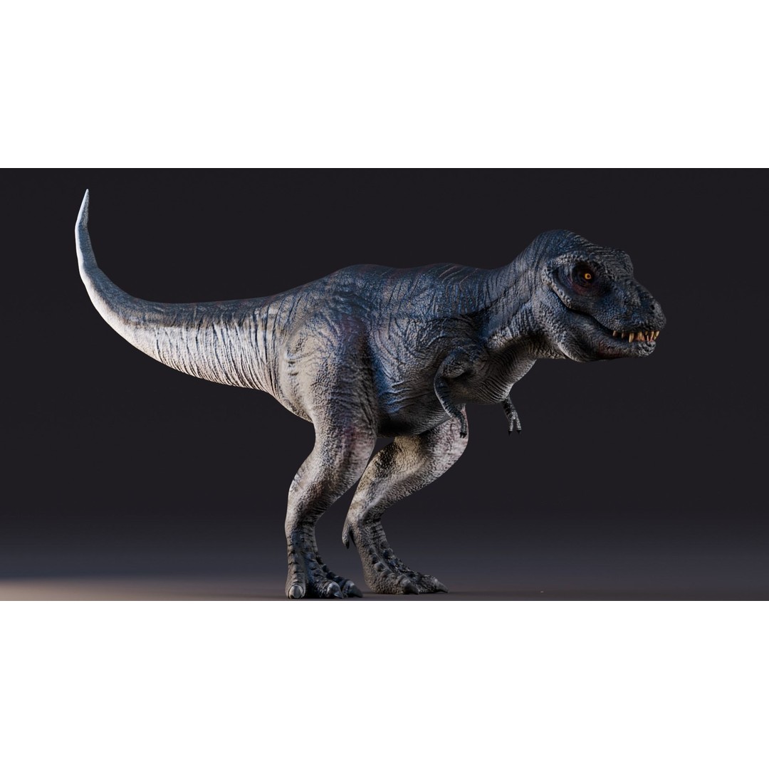 Tyrannosaurus Rex 3D Model – Low Poly Animated Rigged FBX - View 10
