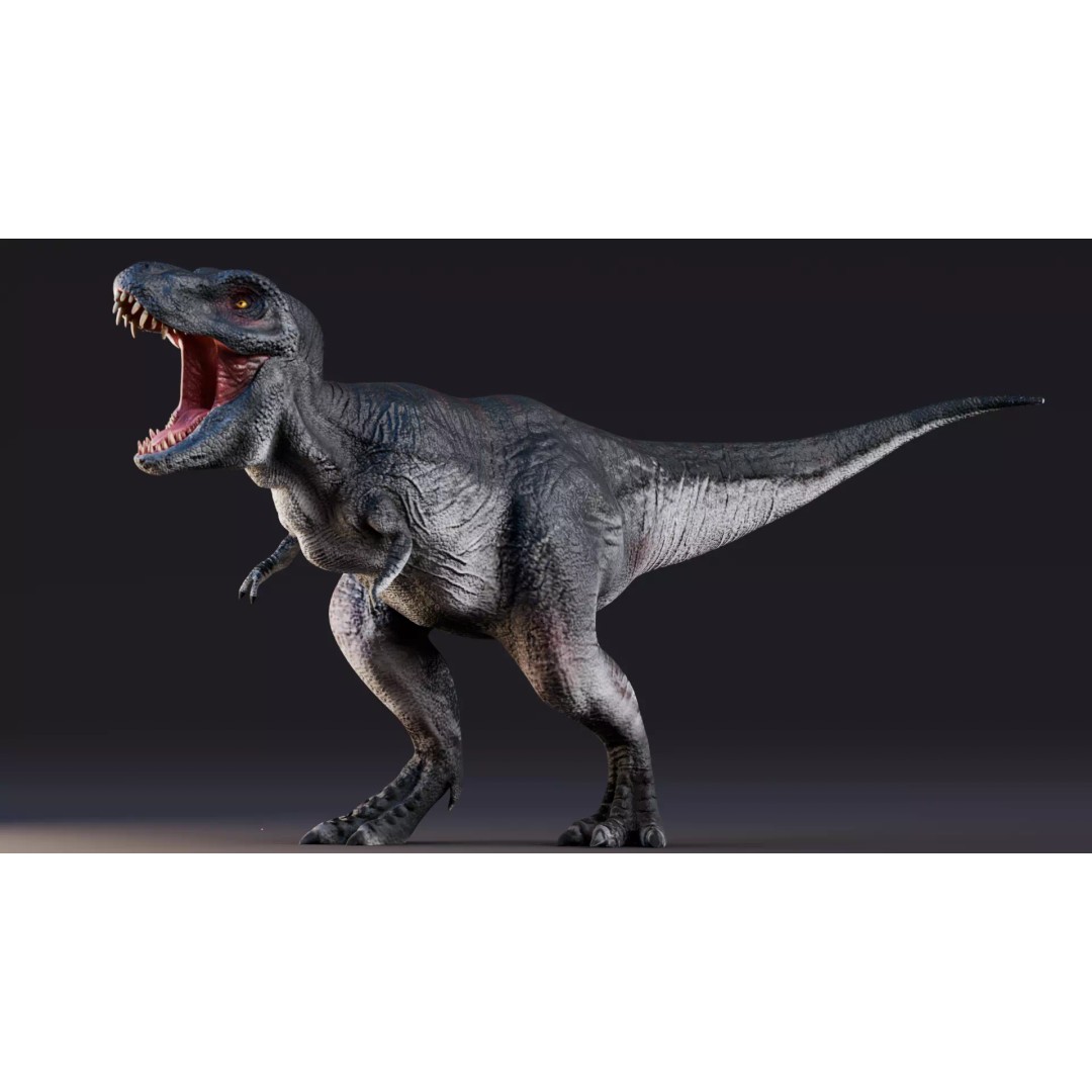 Tyrannosaurus Rex 3D Model – Low Poly Animated Rigged FBX - View 2