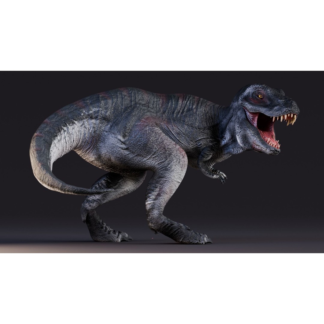 Tyrannosaurus Rex 3D Model – Low Poly Animated Rigged FBX - View 3