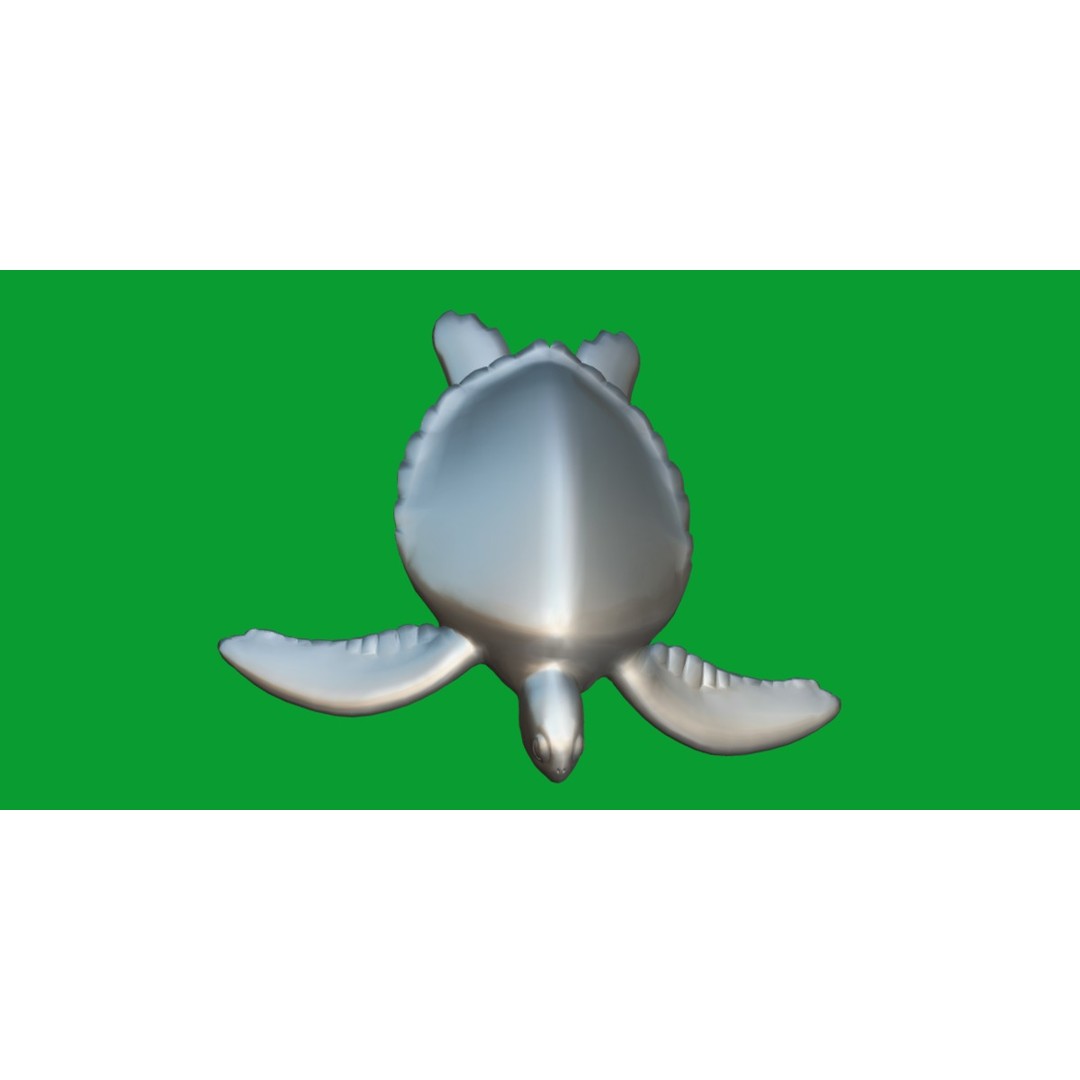 Green Sea Turtle 3D Model – Low Poly Game Ready Asset, FBX, Blender - View 12