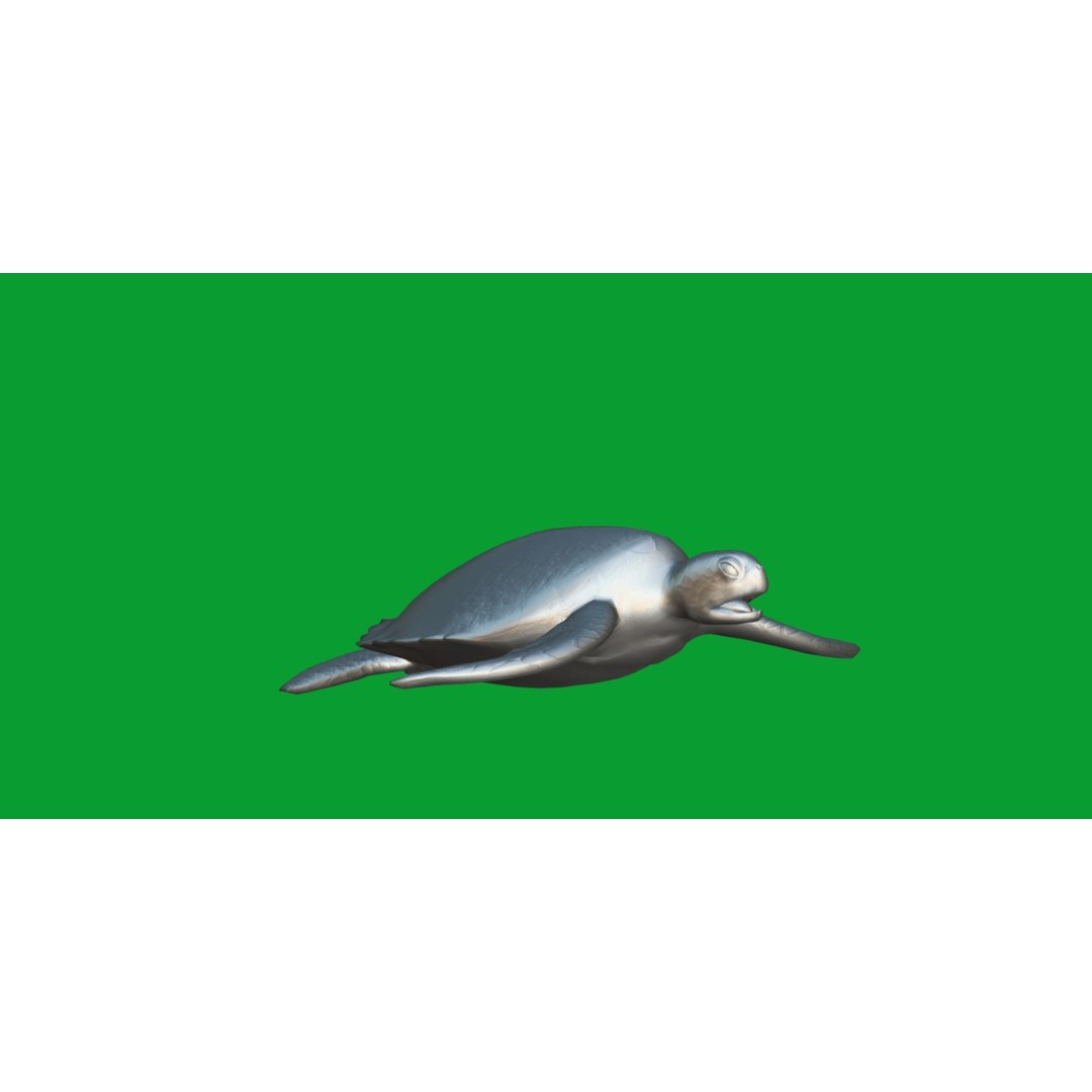 Green Sea Turtle 3D Model – Low Poly Game Ready Asset, FBX, Blender - View 13