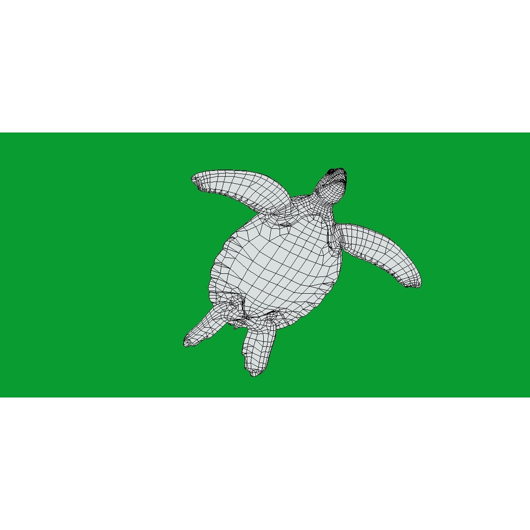 Green Sea Turtle 3D Model – Low Poly Game Ready Asset, FBX, Blender - View 15