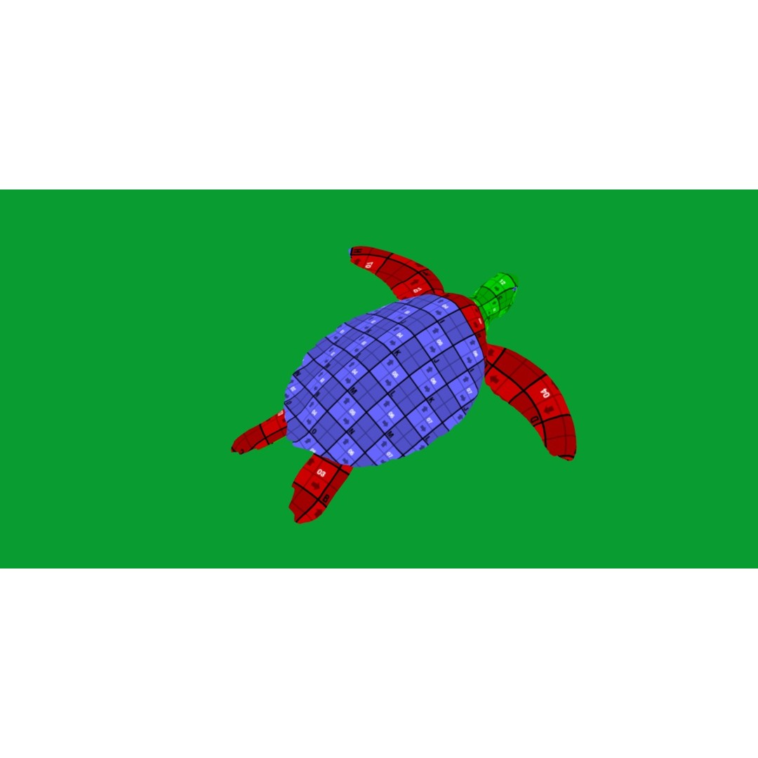 Green Sea Turtle 3D Model – Low Poly Game Ready Asset, FBX, Blender - View 17