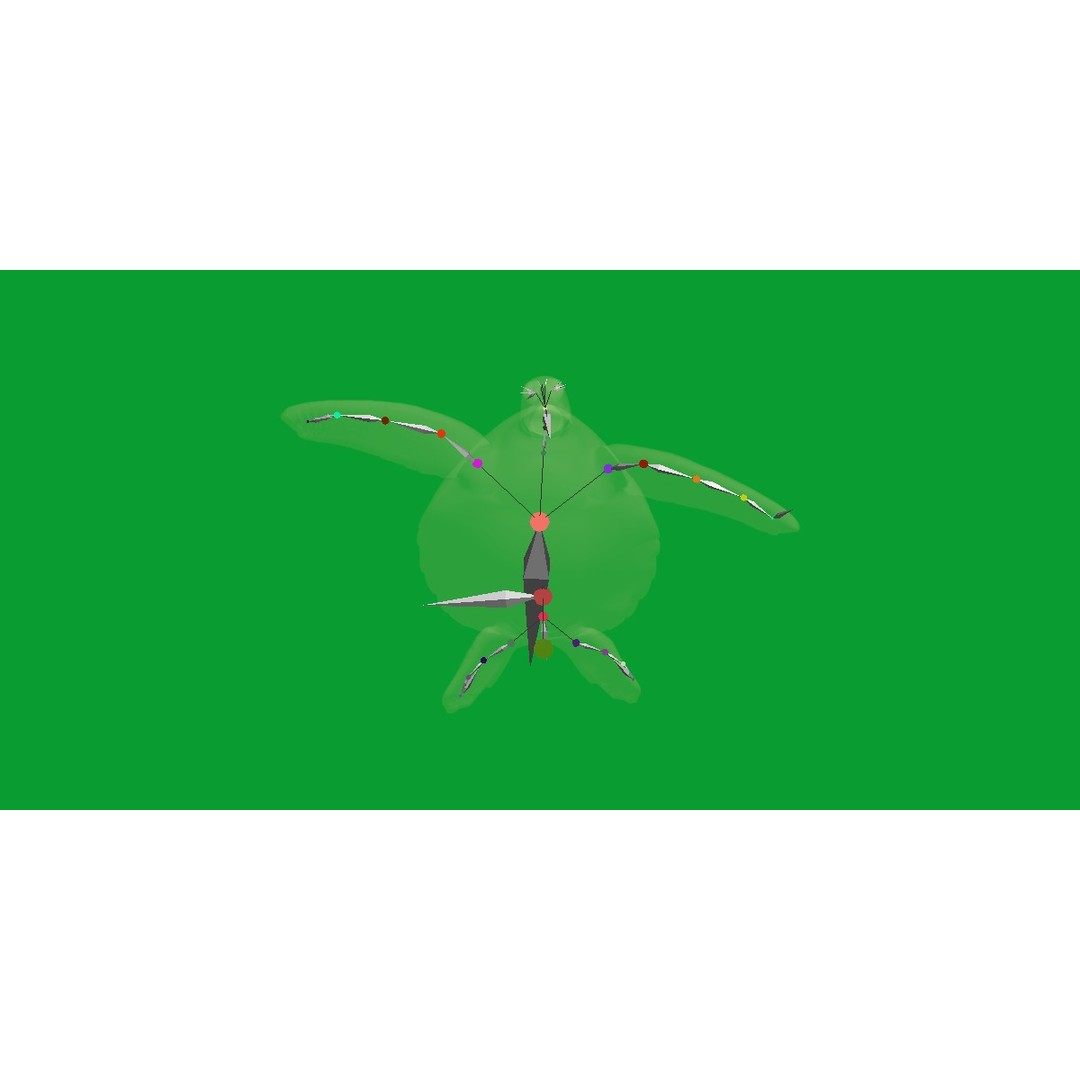 Green Sea Turtle 3D Model – Low Poly Game Ready Asset, FBX, Blender - View 27
